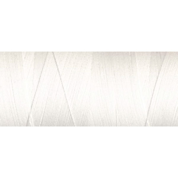 Presencia Cone Thread 60wt/3ply - color 206 Winter White - Antler Quilt  Design, LLC.